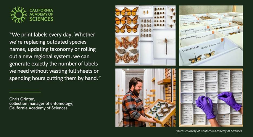 California Academy of Sciences modernizes entomology collection with Epson label printers